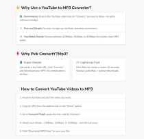 YTMP3 Converter Pro – Self-Hosted YouTube to MP3 Screenshot 5